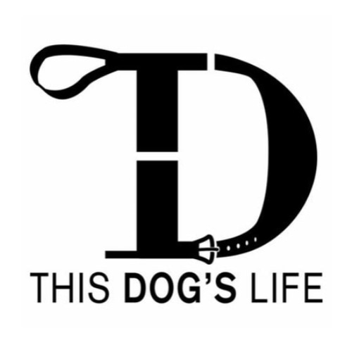 Dog Breath Dental Kit From $49